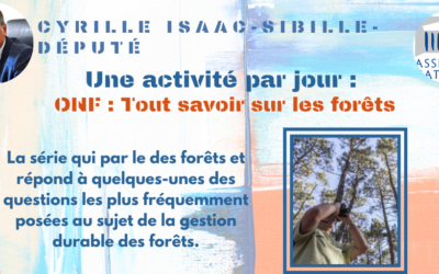 Une activité par jour