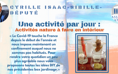 Une activité par jour