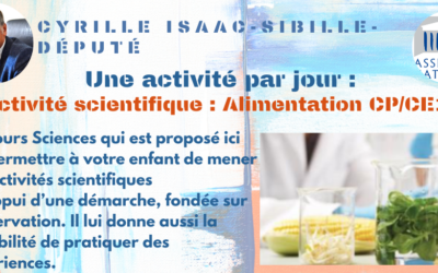 Une activité par jour
